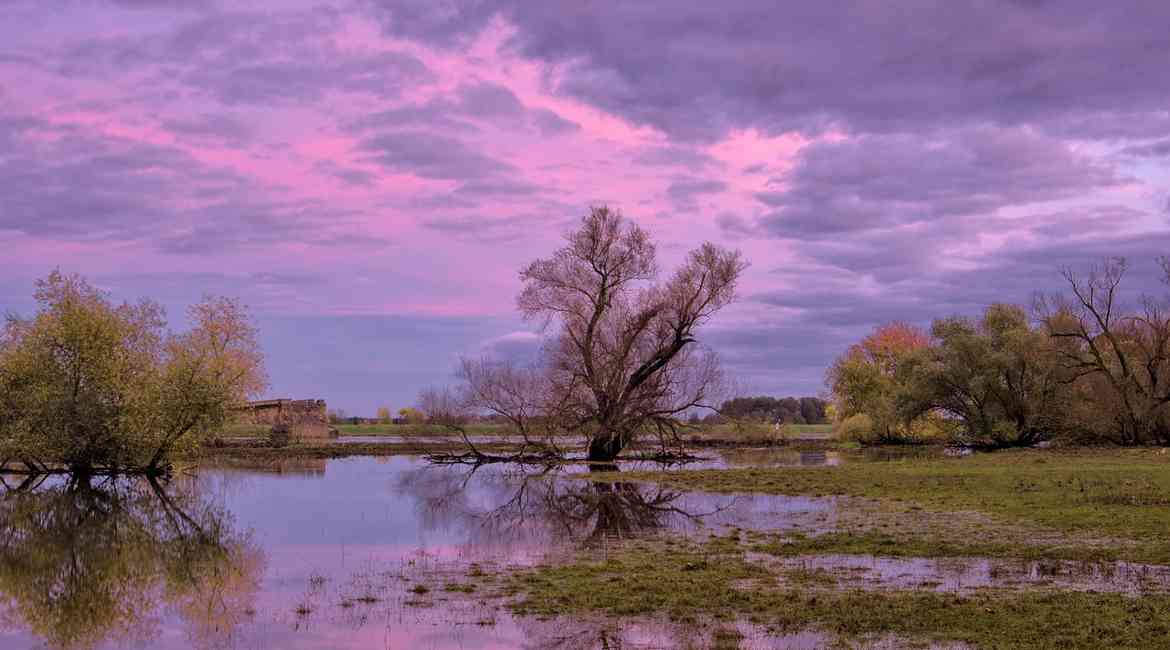 alluvione